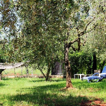 Villa Oliven Garden Rovigno Esterno foto