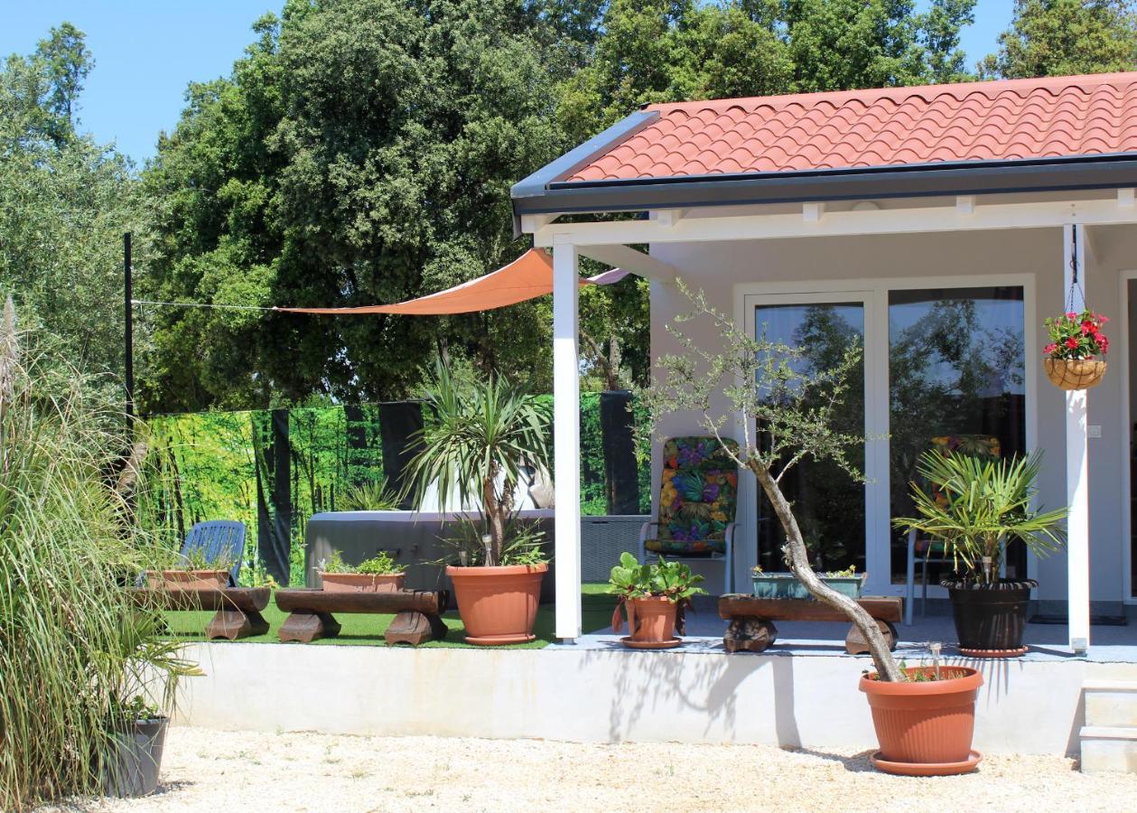 Villa Oliven Garden Rovigno Esterno foto