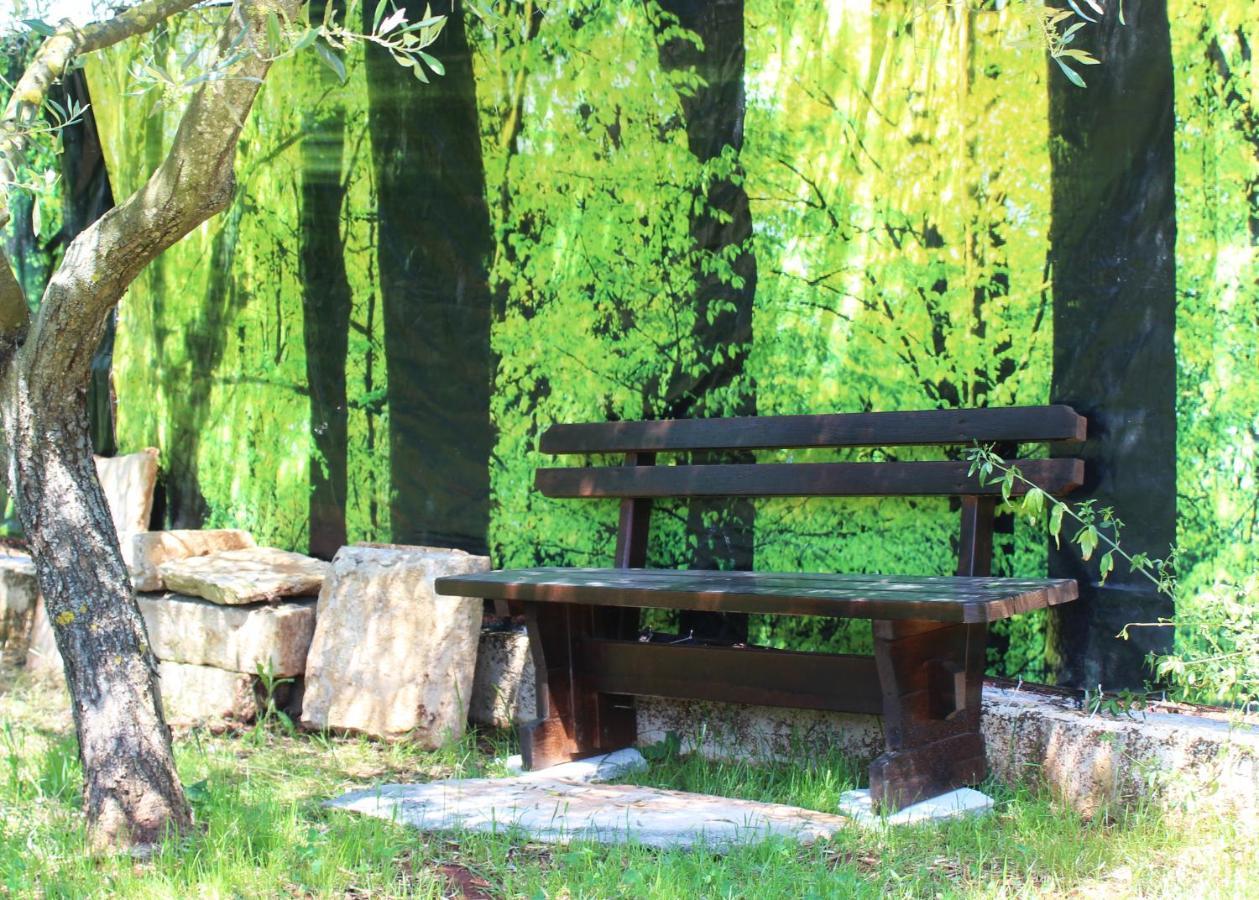 Villa Oliven Garden Rovigno Esterno foto