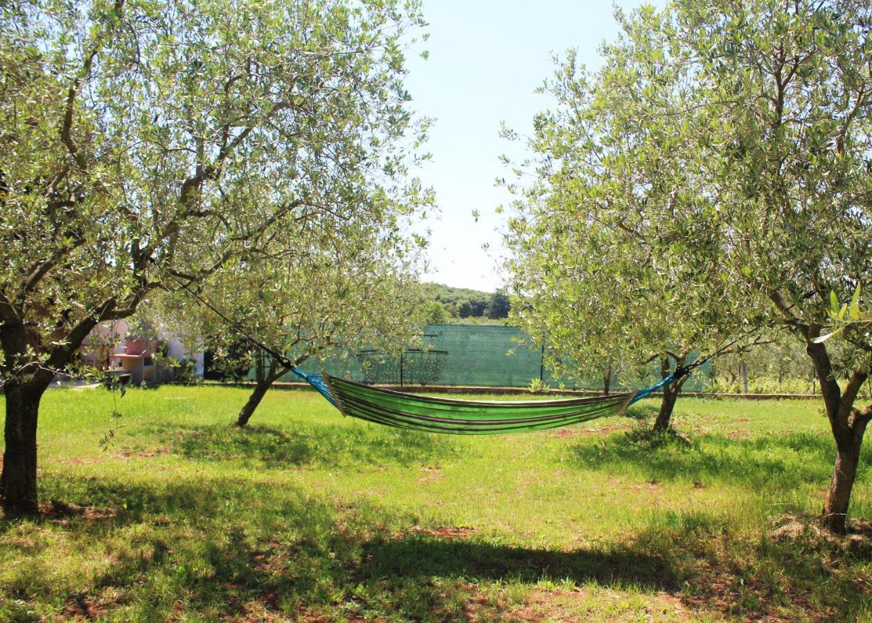 Villa Oliven Garden Rovigno Esterno foto