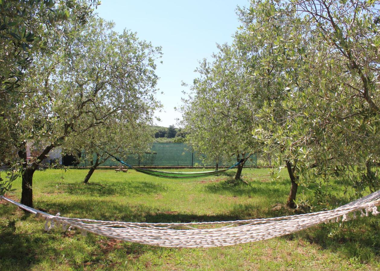 Villa Oliven Garden Rovigno Esterno foto