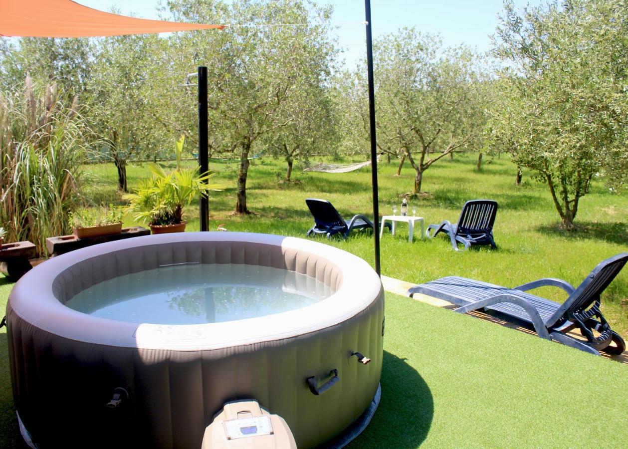 Villa Oliven Garden Rovigno Esterno foto
