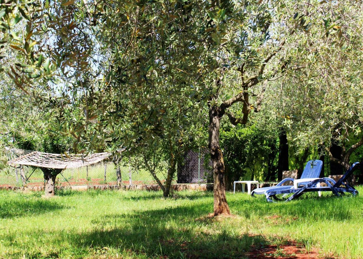 Villa Oliven Garden Rovigno Esterno foto